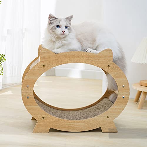 Wiederverwendbares Katzenkratzbrett, TV-förmiges Katzenkratzbrett, Innovativer Katzenkratzbaum, Widerstandsfähige Katzenkratzlounge für Katzen und Kätzchen Im Innenbereich Wiederverwendbares Katzenkratzbrett, TV-förmiges Katzenkratzbrett, Innovativer Katzenkratzbaum, Widerstandsfähige Katzenkratzlounge für Katzen und Kätzchen Im Innenbereich von IUIBMI