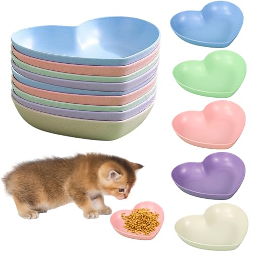 IUKUNNE 10pcs Bunt Katzenfutter Napfsetm, Katzennapf Flach, Fressnapf Katze Futternapf, Flache Schale Für Kätzchen, Katzenschüssel, Katzenteller, Plastik Katzenfutter Napf Set, Katzenfressnapf von IUKUNNE