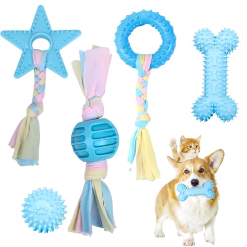 5 Stück Hundespielzeug Set, Kauspielzeug für Welpen und Kleine Hunde mit Ball und Baumwollseilen, Interaktives Spielzeug zur Zahnpflege und Stressabbau, Kauspielzeug für Hunde 5 Stück Hundespielzeug Set, Kauspielzeug für Welpen und Kleine Hunde mit Ball und Baumwollseilen, Interaktives Spielzeug zur Zahnpflege und Stressabbau, Kauspielzeug für Hunde von IUKUNNE