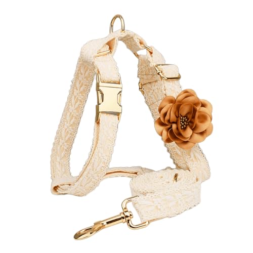 IUOUTG Beige Hund Schritt In Weste Gürtel, Spitze Gürtel Und Leine Set Für Große Hunde, Verstellbare Gestickte Haustier Weste Mit Blume Für Hochzeit Outfit von IUOUTG