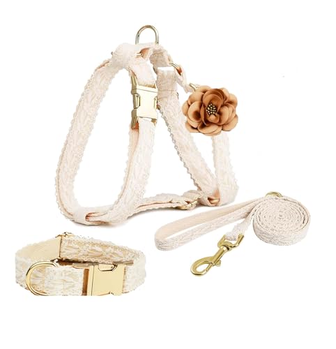 IUOUTG Beige Hundegeschirr Und Leine Set Einstellbare Spitze Haustier Halsband Mit Blume Und Schnellverschluss Schnalle Kein Zuggeschirr Für Mädchen Hund von IUOUTG
