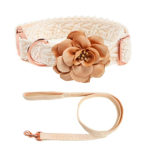 IUOUTG Beige Spitze Hunde Kragen Und Leine Set, Gestickte Mädchen Hunde Kragen Mit Blume, Mode Hübsch Verstellbare Haustier Hochzeit Geburtstag Outfit Für Große Hunde IUOUTG Beige Spitze Hunde Kragen Und Leine Set, Gestickte Mädchen Hunde Kragen Mit Blume, Mode Hübsch Verstellbare Haustier Hochzeit Geburtstag Outfit Für Große Hunde von IUOUTG