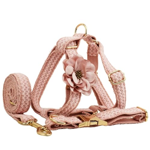 IUOUTG Beweis entkommen Hundegeschirr Und Leine Satz Weiche Und Verstellbare Passende Halsband Mit Blume Und Langlebige Metallschnalle Für Haustier Hochzeit Geburtstag IUOUTG Beweis entkommen Hundegeschirr Und Leine Satz Weiche Und Verstellbare Passende Halsband Mit Blume Und Langlebige Metallschnalle Für Haustier Hochzeit Geburtstag von IUOUTG