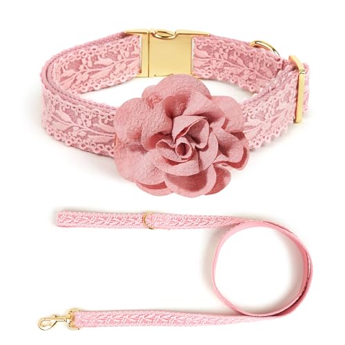 IUOUTG Blumen Hund Kragen Und Leine Set, Rosa Spitze Haustier Kragen Mit Metallschnalle Für Mittlere Und Große Hunde, Designer Gestickte Mädchen Welpen Kragen Für Hochzeitsfeier IUOUTG Blumen Hund Kragen Und Leine Set, Rosa Spitze Haustier Kragen Mit Metallschnalle Für Mittlere Und Große Hunde, Designer Gestickte Mädchen Welpen Kragen Für Hochzeitsfeier von IUOUTG
