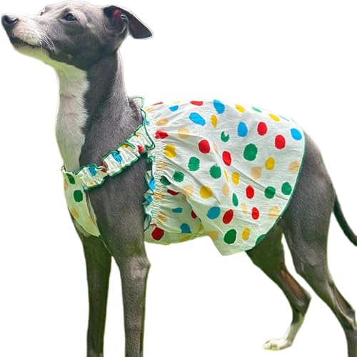 IUOUTG Bunte Polka Dot Slip Kleid Für Whippet, Süße Baumwolle Ärmellose Hunde Rock Sommerweste Für Italienische Greyhound Rasse Haustier Kleidung von IUOUTG