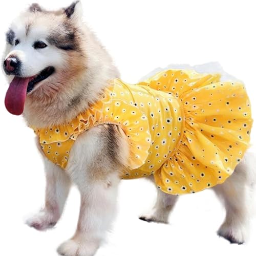 IUOUTG Gelbes Prinzessin Kleid Für Große Hunde, Sommer Blumen Hund Tutu Rock, Baumwolle Spitze Haustier Hochzeit Geburtstag Party Outfit Kostüm Für Weibliche Hunde IUOUTG Gelbes Prinzessin Kleid Für Große Hunde, Sommer Blumen Hund Tutu Rock, Baumwolle Spitze Haustier Hochzeit Geburtstag Party Outfit Kostüm Für Weibliche Hunde von IUOUTG