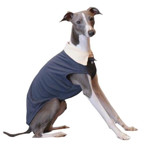 IUOUTG Greyhound Sommer Kühlung T-Shirt, Haustier Atmungsaktives Ärmelloses Polo Shirt, Whippet Hund Cool Solid Weste Für Heißes Wetter Wandern IUOUTG Greyhound Sommer Kühlung T-Shirt, Haustier Atmungsaktives Ärmelloses Polo Shirt, Whippet Hund Cool Solid Weste Für Heißes Wetter Wandern von IUOUTG