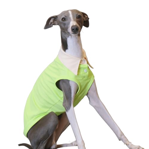 IUOUTG Greyhound Sommer Kühlung T-Shirt, Haustier Atmungsaktives Ärmelloses Polo Shirt, Whippet Hund Cool Solid Weste Für Heißes Wetter Wandern IUOUTG Greyhound Sommer Kühlung T-Shirt, Haustier Atmungsaktives Ärmelloses Polo Shirt, Whippet Hund Cool Solid Weste Für Heißes Wetter Wandern von IUOUTG
