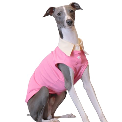 IUOUTG Greyhound Sommer Kühlung T-Shirt, Haustier Atmungsaktives Ärmelloses Polo Shirt, Whippet Hund Cool Solid Weste Für Heißes Wetter Wandern IUOUTG Greyhound Sommer Kühlung T-Shirt, Haustier Atmungsaktives Ärmelloses Polo Shirt, Whippet Hund Cool Solid Weste Für Heißes Wetter Wandern von IUOUTG
