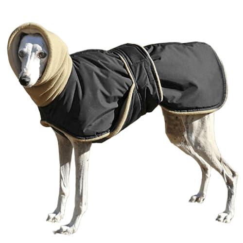 IUOUTG Greyhound Winter Hundemantel, Warme Dicke Hundejacke Für Große Hunde, Schildkröte Hals Haustier Oberbekleidung Mit Fleece Futter & Verstellbare Bänder Für Whippet Outfits IUOUTG Greyhound Winter Hundemantel, Warme Dicke Hundejacke Für Große Hunde, Schildkröte Hals Haustier Oberbekleidung Mit Fleece Futter & Verstellbare Bänder Für Whippet Outfits von IUOUTG