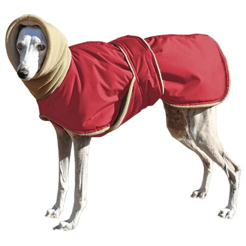 IUOUTG Greyhound Winter Hundemantel, Warme Dicke Hundejacke Für Große Hunde, Schildkröte Hals Haustier Oberbekleidung Mit Fleece Futter & Verstellbare Bänder Für Whippet Outfits IUOUTG Greyhound Winter Hundemantel, Warme Dicke Hundejacke Für Große Hunde, Schildkröte Hals Haustier Oberbekleidung Mit Fleece Futter & Verstellbare Bänder Für Whippet Outfits von IUOUTG