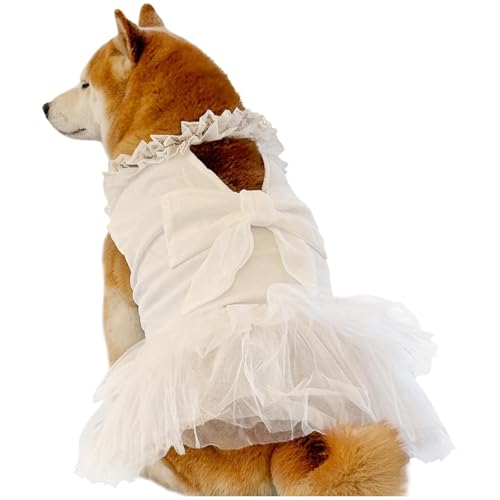 IUOUTG Großes Hund Tüll Hochzeitskleid, Niedliche Hunde Prinzessin Kleider Spitze Tutu Rock, Hund Braut Kostüm Mit Bogen Für Geburtstag Urlaub Outfit IUOUTG Großes Hund Tüll Hochzeitskleid, Niedliche Hunde Prinzessin Kleider Spitze Tutu Rock, Hund Braut Kostüm Mit Bogen Für Geburtstag Urlaub Outfit von IUOUTG