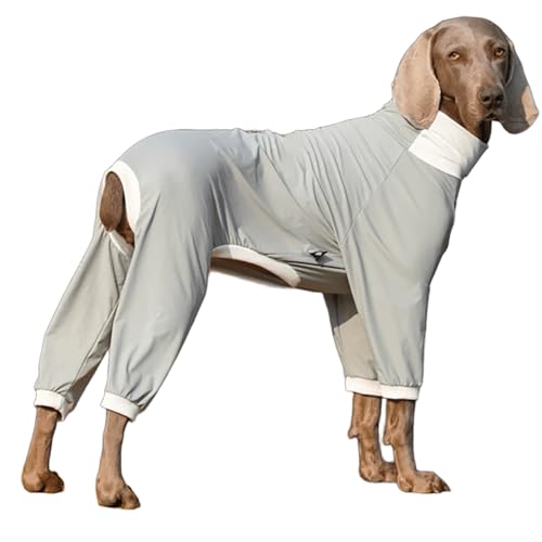 IUOUTG Hund Erholung Anzug Für Die Chirurgie, Leichte Welpen Onesie Für Shedding, Mode Anti-Lecken Haustier Kleidung Mit Beinen Für Kleine Mittlere Hunde IUOUTG Hund Erholung Anzug Für Die Chirurgie, Leichte Welpen Onesie Für Shedding, Mode Anti-Lecken Haustier Kleidung Mit Beinen Für Kleine Mittlere Hunde von IUOUTG