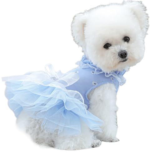 IUOUTG Hund Prinzessin Kleider Für Kleine Hunde, Haustier Spitze Hochzeitskleid Mit Bogen, Sommer Chihuahua Outfit, Niedliche Welpen Party Kleid Für Den Urlaub IUOUTG Hund Prinzessin Kleider Für Kleine Hunde, Haustier Spitze Hochzeitskleid Mit Bogen, Sommer Chihuahua Outfit, Niedliche Welpen Party Kleid Für Den Urlaub von IUOUTG