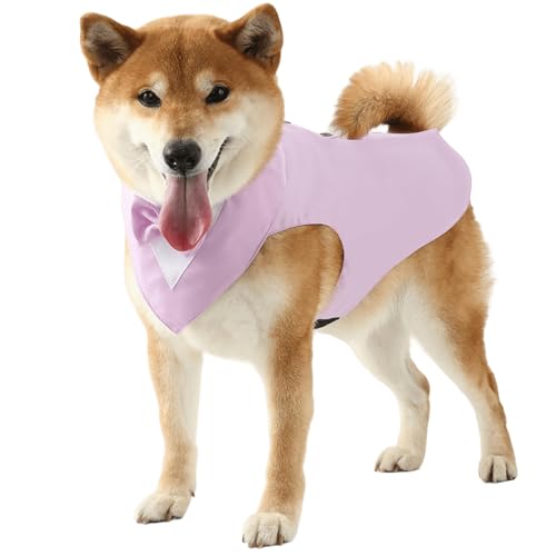 IUOUTG Hund Smoking Anzug Für Hochzeiten & Party, Sanfte Hunde Bräutigam Anzug Mit Abnehmbarer Bowtie Formellen Kragen Haustier Geburtstag Outfit Für Dress Up IUOUTG Hund Smoking Anzug Für Hochzeiten & Party, Sanfte Hunde Bräutigam Anzug Mit Abnehmbarer Bowtie Formellen Kragen Haustier Geburtstag Outfit Für Dress Up von IUOUTG