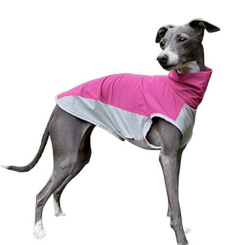 IUOUTG Hund Sommer Cool Ärmellose Weste, Niedliche Haustier Sonnenschutz Cooler T-Shirts, Schnell Trocknende & Atmungsaktive Hund Shirt Für Italienischen Greyhound Whippet von IUOUTG