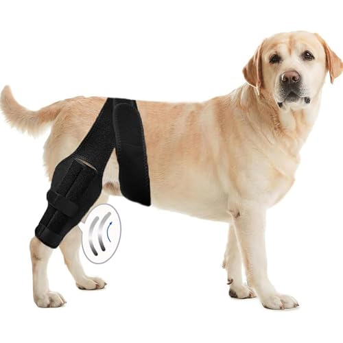 IUOUTG Hunde-Kniebandage für das Bein, verstellbare Hunde-Hüft-Knie-Beinbandage, Bessere Erholung Für Haustier Mit Zerrissenen ACL Und Reduzieren Muskel Schmerzen von IUOUTG