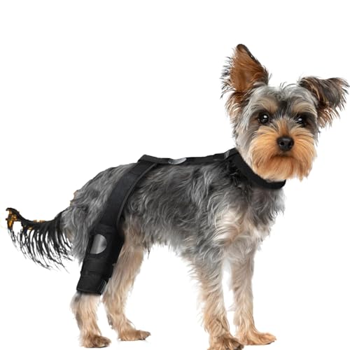 IUOUTG Hunde-Knieschiene, ACL-Klammer Für Hunde Hinterbein Unterstützung, Hundekegel Alternative Mit Extra Kragen Und Bilateralen Stabilisator Für Mittlere Große Hunde IUOUTG Hunde-Knieschiene, ACL-Klammer Für Hunde Hinterbein Unterstützung, Hundekegel Alternative Mit Extra Kragen Und Bilateralen Stabilisator Für Mittlere Große Hunde von IUOUTG