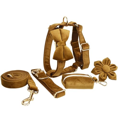 IUOUTG Hundegeschirr Set mit Halsband und Leine Verstellbares Metallschnallen-Haustierhalsband-Set mit schöner floraler Fliege für Rüden und Hündinnen von IUOUTG