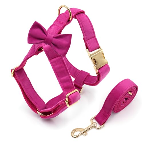 IUOUTG Hundegeschirr ohne Ziehen, mit Leine, D-Ring-Clip vorne, verhindert das Ziehen, verstellbare Einstiegsweste für kleine Hunde, Größe M IUOUTG Hundegeschirr ohne Ziehen, mit Leine, D-Ring-Clip vorne, verhindert das Ziehen, verstellbare Einstiegsweste für kleine Hunde, Größe M von IUOUTG
