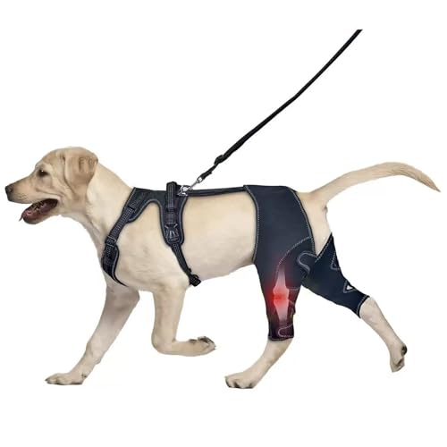 IUOUTG Hundeknieschiene FüR Gerissenes Kreuzband, Hundekompressionsmanschette FüR Das Hinterbein, Tierwickelgeschirrset Zur Wundversorgung Und Zum Lecken Verhindern. IUOUTG Hundeknieschiene FüR Gerissenes Kreuzband, Hundekompressionsmanschette FüR Das Hinterbein, Tierwickelgeschirrset Zur Wundversorgung Und Zum Lecken Verhindern. von IUOUTG