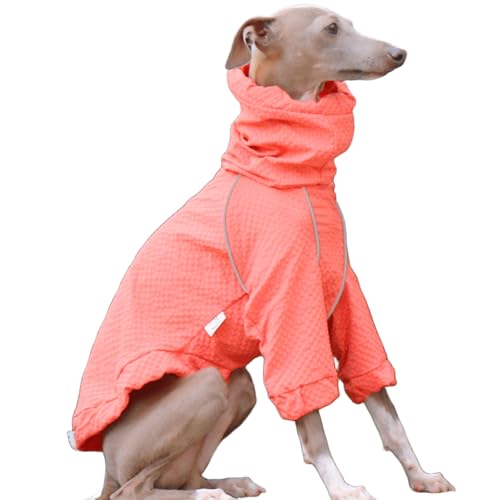 IUOUTG Hundeleichter Jacke Windbreaker, Rollkragenpet Haustier Outdoor Sportjacke, wasserdichte Italienische Windhundmantel Whippet -Kleidung Für Hunde von IUOUTG