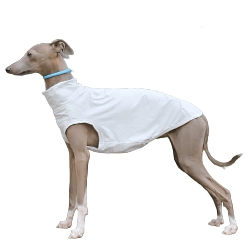 IUOUTG Italienische Greyhound Kleidung Sommer Coole T-Shirts, Atmungsaktive Haustier Sonnenweste Leichtgewichtsweste Für Große Hunde Mit Sommer Im Freien von IUOUTG