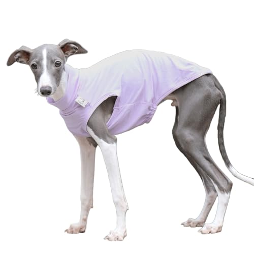 IUOUTG Italienische Greyhound Kleidung Sommer Coole T-Shirts, Atmungsaktive Haustier Sonnenweste Leichtgewichtsweste Für Große Hunde Mit Sommer Im Freien von IUOUTG