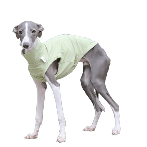 IUOUTG Italienische Greyhound Kleidung Sommer Coole T-Shirts, Atmungsaktive Haustier Sonnenweste Leichtgewichtsweste Für Große Hunde Mit Sommer Im Freien von IUOUTG