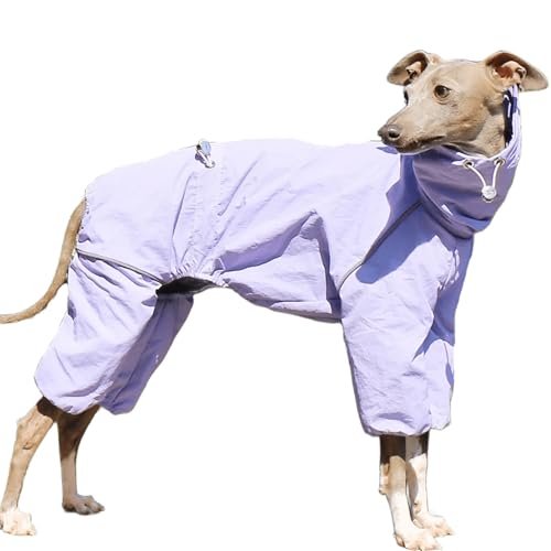 IUOUTG Italienische Greyhound wasserdichte Jacke, Winddichte Hundemantel Jumpsuit Mit Reißverschluss Leichte Vierbeinige Whippet Sweatshirt Kleidung Für Hunde von IUOUTG