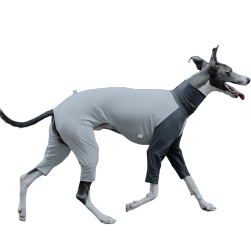 IUOUTG Italienischer Greyhound Full Cover Kleidung, Hund Sommer Kühlung Vierbeiniges T-Shirt, Schnelltrocknen Licht Atmungsaktiver Mantel Für Hunde Im Freien von IUOUTG