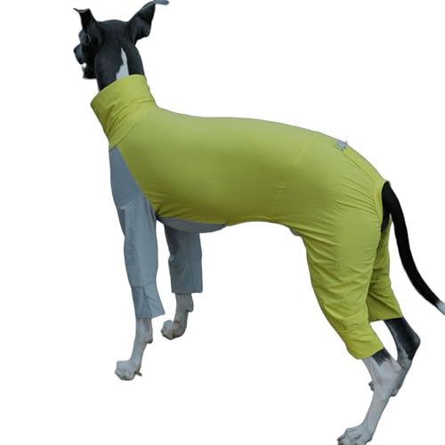 IUOUTG Italienischer Greyhound Full Cover Kleidung, Hund Sommer Kühlung Vierbeiniges T-Shirt, Schnelltrocknen Licht Atmungsaktiver Mantel Für Hunde Im Freien von IUOUTG