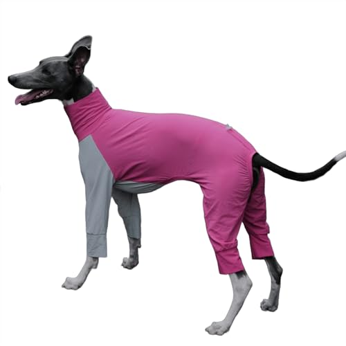 IUOUTG Italienischer Greyhound Full Cover Kleidung, Hund Sommer Kühlung Vierbeiniges T-Shirt, Schnelltrocknen Licht Atmungsaktiver Mantel Für Hunde Im Freien von IUOUTG