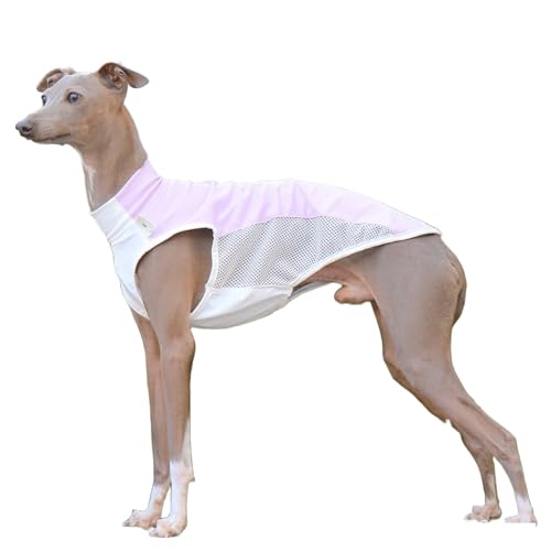 IUOUTG Kühlweste Für Große Hunde, Atmungsaktives Sommer Hund Sonne Shirt, Atmungsaktives Mesh Italienische Greyhound Kleidung Für Outdoor-Aktivitäten IUOUTG Kühlweste Für Große Hunde, Atmungsaktives Sommer Hund Sonne Shirt, Atmungsaktives Mesh Italienische Greyhound Kleidung Für Outdoor-Aktivitäten von IUOUTG