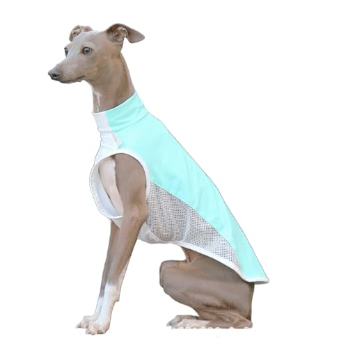 IUOUTG Kühlweste Für Große Hunde, Atmungsaktives Sommer Hund Sonne Shirt, Atmungsaktives Mesh Italienische Greyhound Kleidung Für Outdoor-Aktivitäten IUOUTG Kühlweste Für Große Hunde, Atmungsaktives Sommer Hund Sonne Shirt, Atmungsaktives Mesh Italienische Greyhound Kleidung Für Outdoor-Aktivitäten von IUOUTG