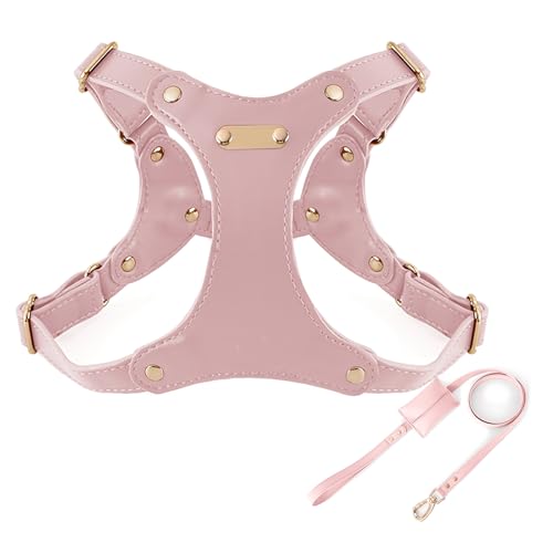 IUOUTG Leder Hundegeschirr Und Leine Satz Mit Verstellbarer Metallschnalle Weiches Wasserdichtes Material Für Mittlere Hunde Einfaches IUOUTG Leder Hundegeschirr Und Leine Satz Mit Verstellbarer Metallschnalle Weiches Wasserdichtes Material Für Mittlere Hunde Einfaches von IUOUTG