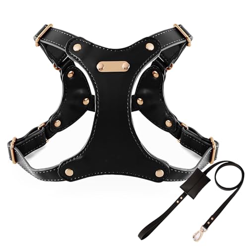IUOUTG Leder Hundegeschirr Und Leine Satz Mit Verstellbarer Metallschnalle Weiches Wasserdichtes Material Für Mittlere Hunde Einfaches IUOUTG Leder Hundegeschirr Und Leine Satz Mit Verstellbarer Metallschnalle Weiches Wasserdichtes Material Für Mittlere Hunde Einfaches von IUOUTG