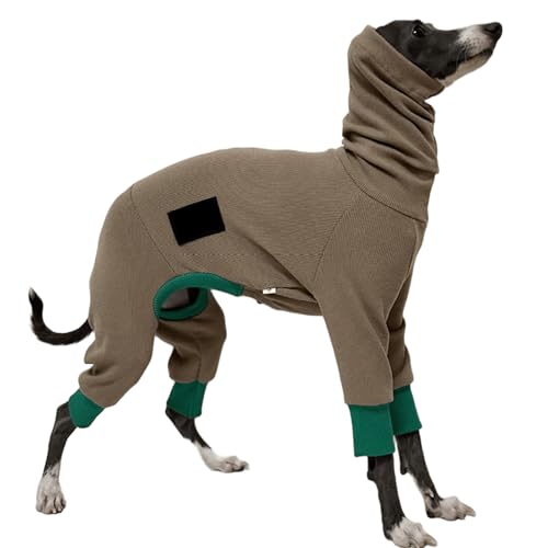 IUOUTG Leichter Hunde Pullover Für Whippet & Italienischer Greyhound, Dehnungskragen Onesie, Weiche Vierbeinen Winter Hunde Kleidung Für Den Täglichen Trag von IUOUTG