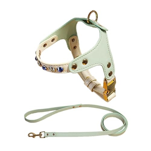 IUOUTG Leichtes Gehen ohne Ziehen Hundegeschirr mit Leinenset Ledermaterial mit Schnellverschlussschnalle für Welpenkatzen von IUOUTG