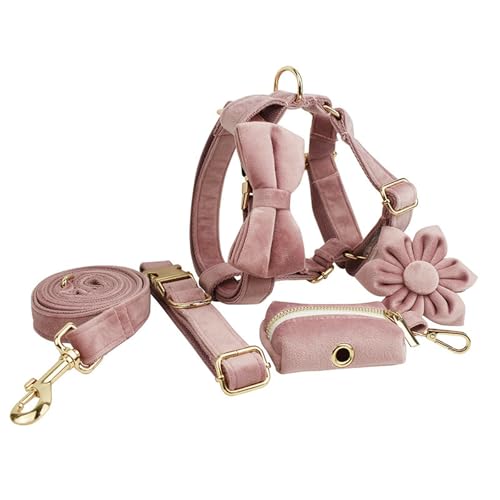 IUOUTG Niedliches Mädchen Hundegeschirr Set, verstellbares Hundehalsband Leine Set mit Blume und Schleife, mit Metallschnalle und Griff von IUOUTG
