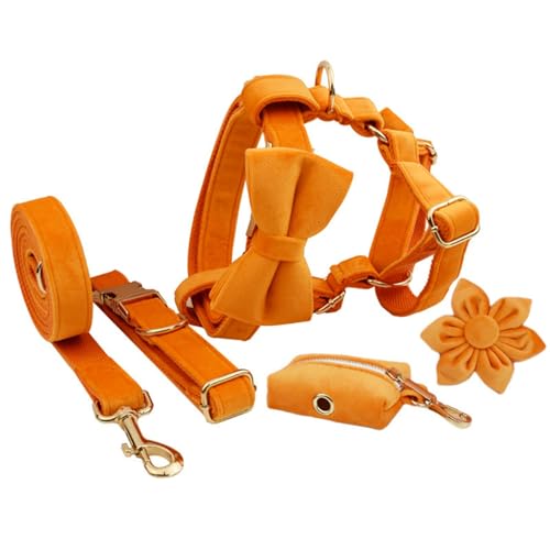 IUOUTG Orange Hundegeschirr Halsband Und Leine SatzVerstellbares Halsband Mit Langlebiger Metallschnalle Und Florale Fliege Für Männlichen Und Weiblichen Hund von IUOUTG