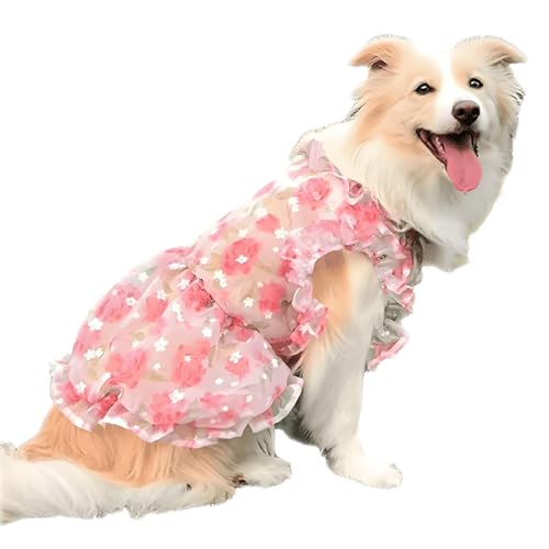 IUOUTG Pink Blume Spitze Hund Kleid, Tüll Hund Prinzessin Kleid Tutu Röcke Für Große Hunde Mädchen, Weiches Sommer Haustier Kostüm Für Hochzeit Geburtstag IUOUTG Pink Blume Spitze Hund Kleid, Tüll Hund Prinzessin Kleid Tutu Röcke Für Große Hunde Mädchen, Weiches Sommer Haustier Kostüm Für Hochzeit Geburtstag von IUOUTG