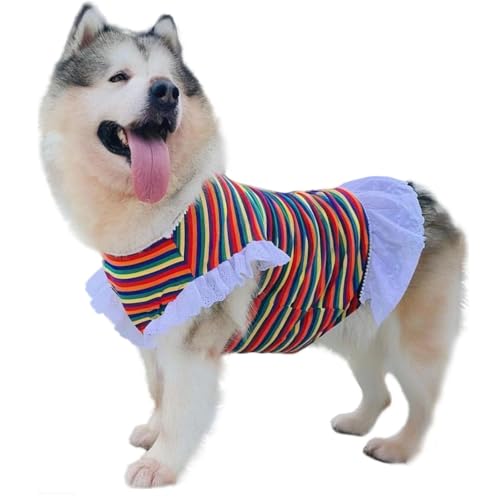 IUOUTG Regenbogen Gestreiftes Hunde Kleid, Niedliche Ärmellose Spitze Welpen Tutu Prinzessin Rock, Haustier Elastische Pullover Kleidung Für Mittlere Große Hunde von IUOUTG