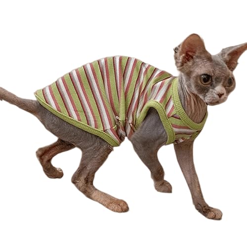 IUOUTG Regenbogen Streifen Katze T-Shirts, Sphynx Katze Kleidung Sommer Atmungsaktive Ärmellose Weste Haustier Kleidung Für Cornish Rex, Devon Rex IUOUTG Regenbogen Streifen Katze T-Shirts, Sphynx Katze Kleidung Sommer Atmungsaktive Ärmellose Weste Haustier Kleidung Für Cornish Rex, Devon Rex von IUOUTG