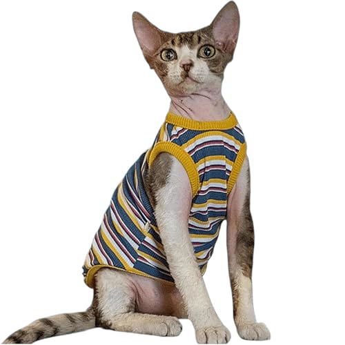 IUOUTG Regenbogen Streifen Katze T-Shirts, Sphynx Katze Kleidung Sommer Atmungsaktive Ärmellose Weste Haustier Kleidung Für Cornish Rex, Devon Rex IUOUTG Regenbogen Streifen Katze T-Shirts, Sphynx Katze Kleidung Sommer Atmungsaktive Ärmellose Weste Haustier Kleidung Für Cornish Rex, Devon Rex von IUOUTG