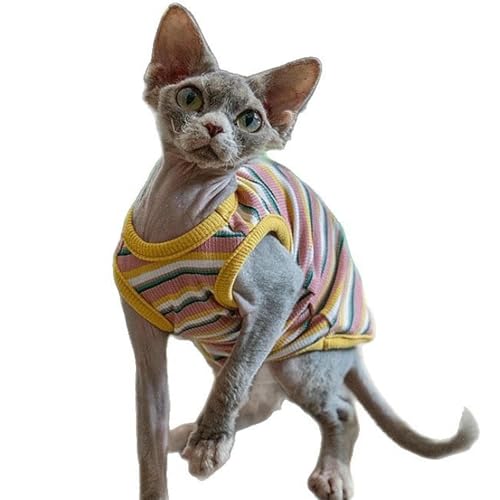 IUOUTG Regenbogen Streifen Katze T-Shirts, Sphynx Katze Kleidung Sommer Atmungsaktive Ärmellose Weste Haustier Kleidung Für Cornish Rex, Devon Rex IUOUTG Regenbogen Streifen Katze T-Shirts, Sphynx Katze Kleidung Sommer Atmungsaktive Ärmellose Weste Haustier Kleidung Für Cornish Rex, Devon Rex von IUOUTG