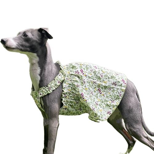 IUOUTG Sommer Blumen Hund Sonnenkleid, Italienische Greyhound Kleidung Mädchen Hund Kleid, Atmungsaktive Sommer Haustier Pender Rock Für Geburtstagsfeier von IUOUTG