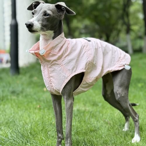 IUOUTG Sonnenschutz Hund Shirt, Sommer Cool Light Jacke Mit Reißverschluss, Schnelltrocknen Ärmelloses Dünnes T-Shirt Für Greyhound IUOUTG Sonnenschutz Hund Shirt, Sommer Cool Light Jacke Mit Reißverschluss, Schnelltrocknen Ärmelloses Dünnes T-Shirt Für Greyhound von IUOUTG