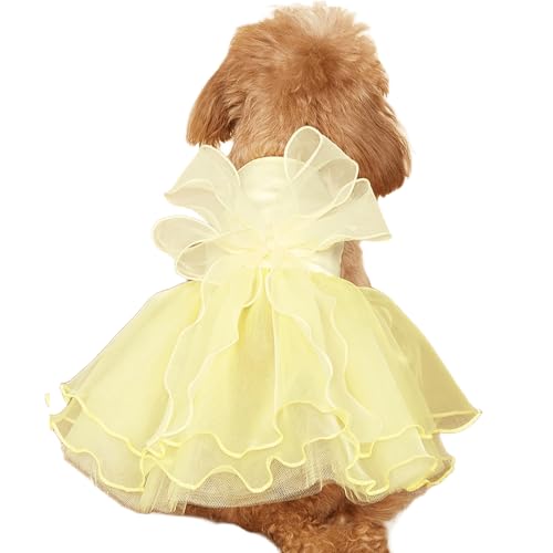 IUOUTG Spitze Hund Prinzessin Kleid, Welpen Geburtstag Hochzeitskleider Mit Bogen, Elegante Tüll Haustier Kleidung Für Katzen Und Kleine Hunde Urlaub Party Kostüm IUOUTG Spitze Hund Prinzessin Kleid, Welpen Geburtstag Hochzeitskleider Mit Bogen, Elegante Tüll Haustier Kleidung Für Katzen Und Kleine Hunde Urlaub Party Kostüm von IUOUTG