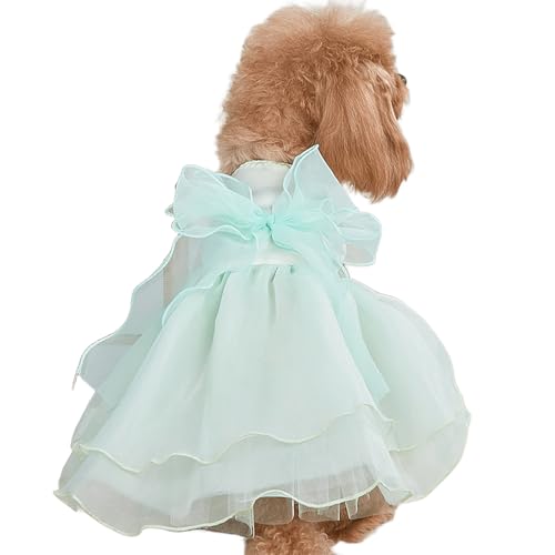 IUOUTG Spitze Hund Prinzessin Kleid, Welpen Geburtstag Hochzeitskleider Mit Bogen, Elegante Tüll Haustier Kleidung Für Katzen Und Kleine Hunde Urlaub Party Kostüm IUOUTG Spitze Hund Prinzessin Kleid, Welpen Geburtstag Hochzeitskleider Mit Bogen, Elegante Tüll Haustier Kleidung Für Katzen Und Kleine Hunde Urlaub Party Kostüm von IUOUTG
